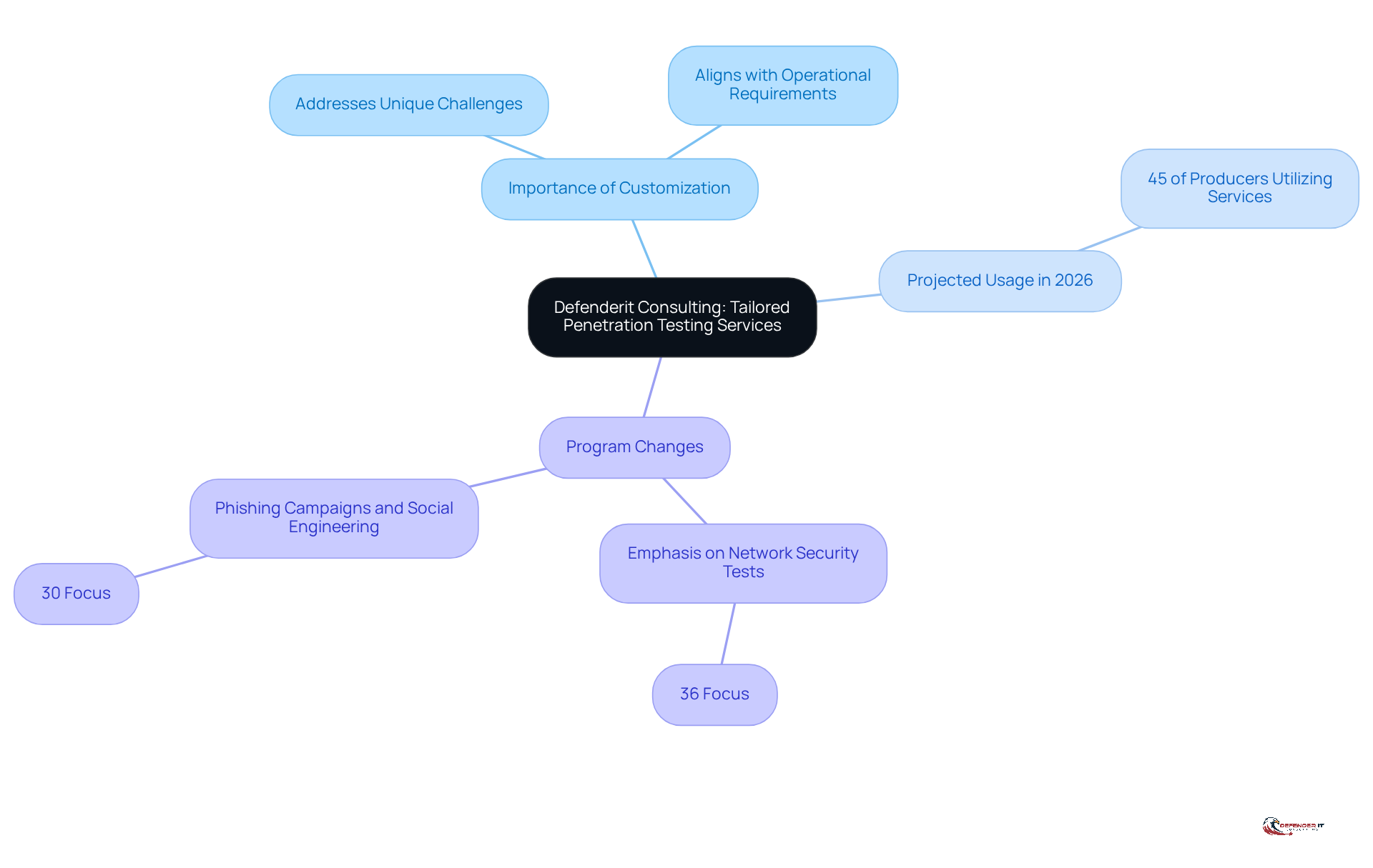 The central node represents the main service offered, while branches show its importance, future projections, and specific changes in focus areas. Each branch highlights key points that contribute to understanding the overall strategy.